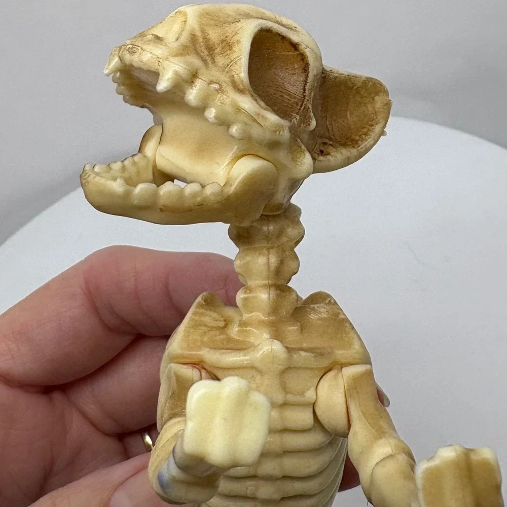 Articulated Cat Skeleton Halloween Figurine Posable Plastic Bone Decor 7 Inch